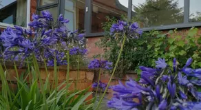 Featherbed Cottage - Image 5