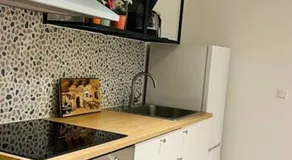 Newly built amazing apartment - Image 5
