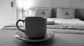 Serra Plaza Hotel - Image 3