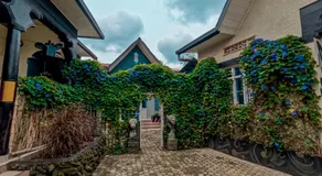 Masha Arts Studio - Image 2