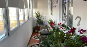 La Olteanu - Image 3