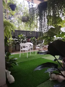 Bloo Ivy-Peradeniya - Image 2