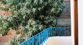 Sunflower Guest House Luxor West Bank - Image 5
