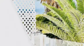 Canaryislandshost l Mar - Image 5