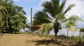 Acajou Hotel - Image 4