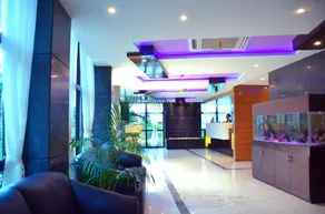 The Dolphin Palace Hotel - Image 3