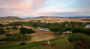 Snowy Mountain Holidays - Image 5