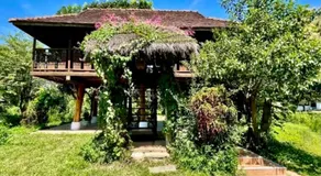 La Maison - Chiangmai - Image 4