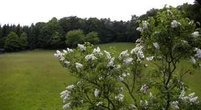 Hotel Herrenrest - Image 4