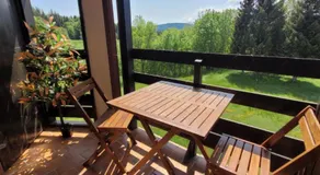 LE CHALET, Superbe Duplex avec Balcon aux Rousses, Netflix, WI-FI, Parking Gratuit et Draps inclus - Animaux Interdits - Image 4