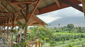 Vulkaan Homestay - Image 4
