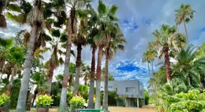 Palm Villa - Vacation STAY 12202 - Image 5