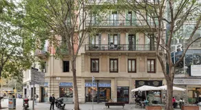 Ola Living Sant Antoni Market - Image 5