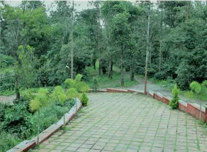 Nikhara Estate and Resort - Image 5