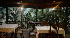 Sinharaja Rest - Image 3
