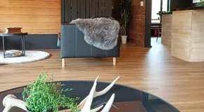 Hooting Owl private ski chalet - Image 3