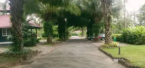 Palm Era Resorts - Image 4