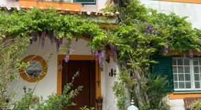 A Casa do Lagar - Image 5