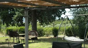 Luce di Vino - Image 5