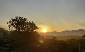 Thông Farmstay Loc Duc - Image 2