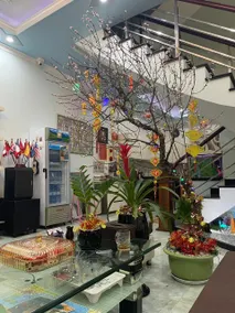 Cat Ba Central Homestay - Image 2