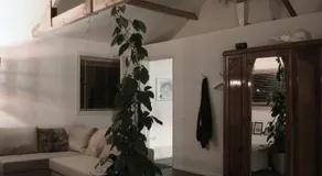 B&B de Onlanden - Image 2