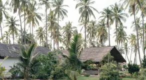 Luna Laguna - Image 5