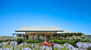 Black Creek Paddock - Image 4