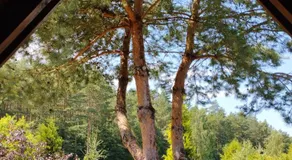 Morska Chata - Image 5