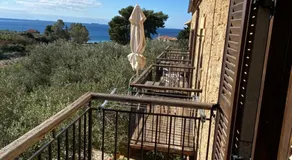 To Palio - Image 2