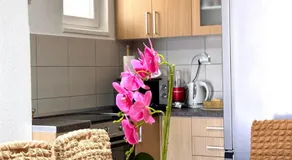 Apartman T&A - Image 3