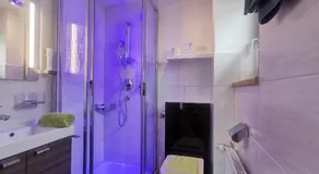 Family room, bath, toilet, good as new - Image 5