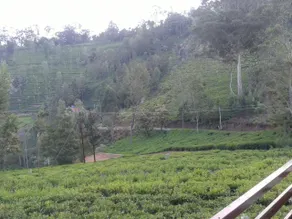 Sree Harshav Cottage, Kodamalai - Image 3