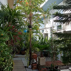 Daddy's home Huahin - Image 2