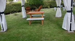 Casa Branca - Image 4