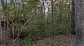 Goldenrod Gap - Image 4