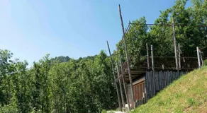 Borgata Paraloup - Image 3