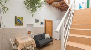Agaete Botanic - Rooftop Solarium - Image 3