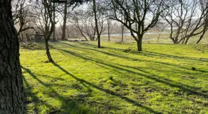 Feriehus i skøn natur - Image 5