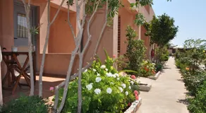 Petradi - Image 5