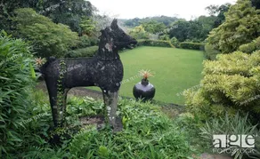 Gami Niwasa Home Stay - Image 2