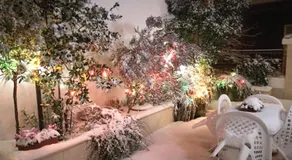 "Il Giardino Di Niu" - Image 3