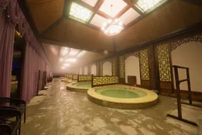 Dream Hot Spring Hotel - Image 5