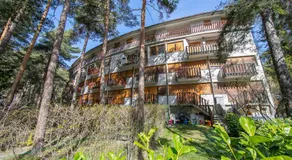 Il nido nella Pineta Central in Ski resort - Happy Rentals - Image 2