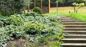 Sustainable Cabin In Beech Forest At Mellby Kask - Image 5