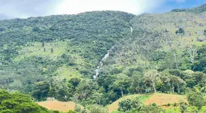 SINHARAJA GUEST INN Rakwana - Image 3