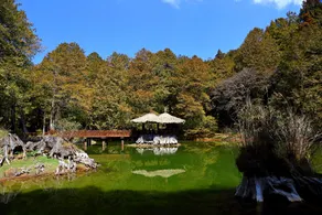 Kao Feng Hotel - Image 4