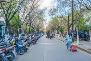 Lin Dian  Homestay (Dali Old City Renmin Road Erhai Store) - Image 4