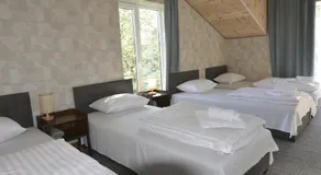 Susve - Image 2