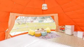 TACO GLAMP - Image 4